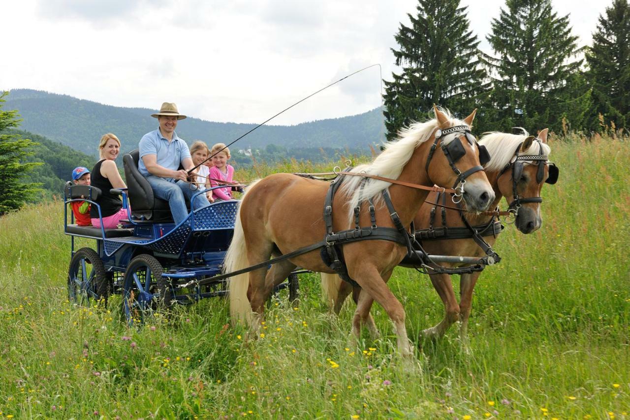 Hochgallinger Hof Siegsdorf Zewnętrze zdjęcie